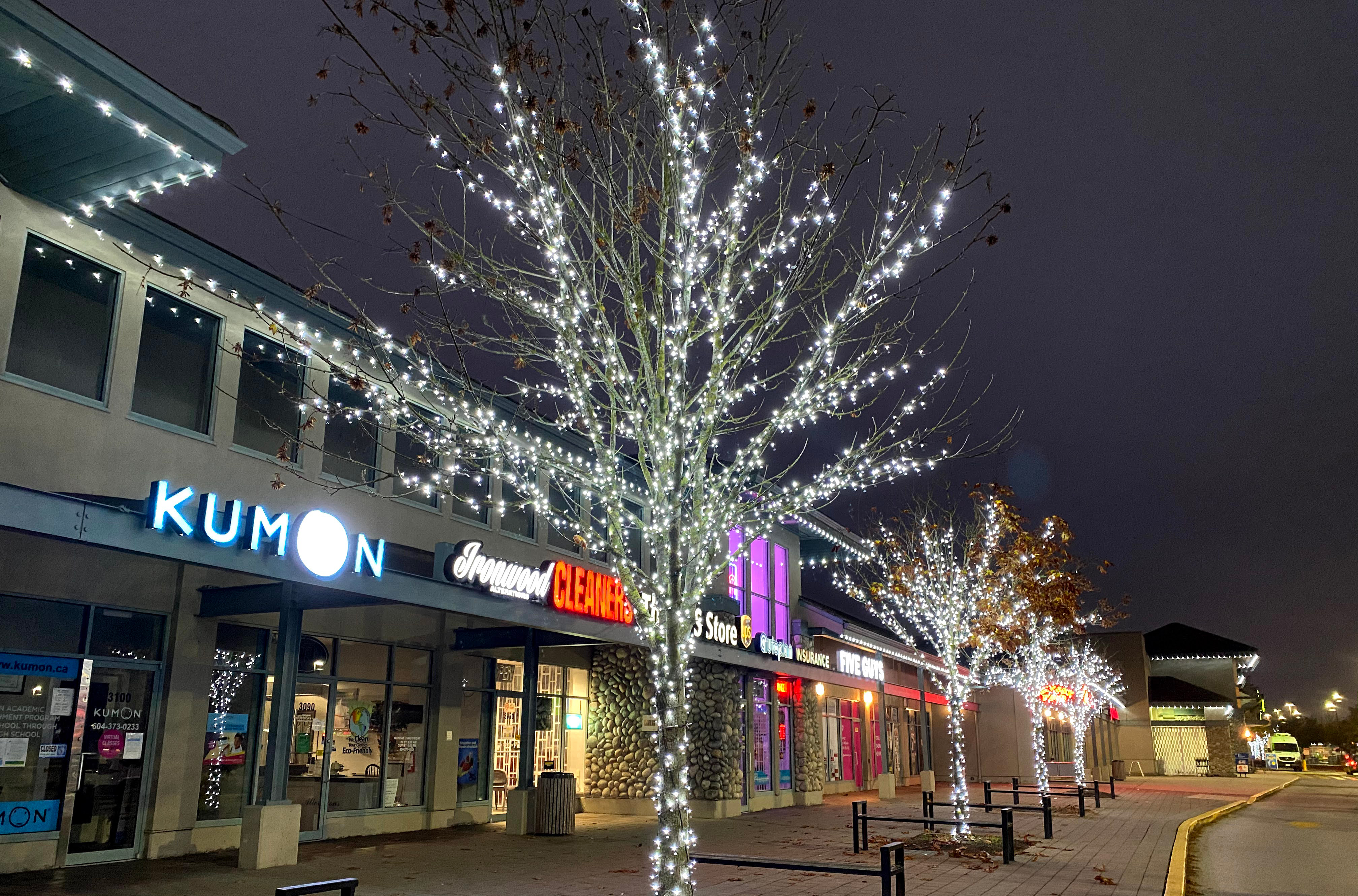 Retail plaza street trees wrapped in pure white mini lights
