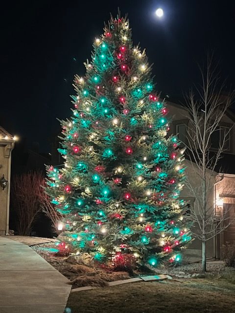 Tree strung with multicolor holiday bulbs beside a home